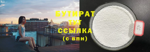 крисы Надым