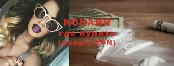 крисы Надым