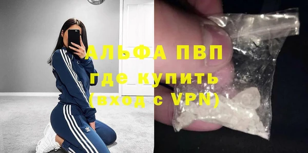 крисы Надым