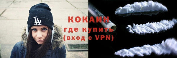 крисы Надым