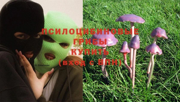 крисы Надым