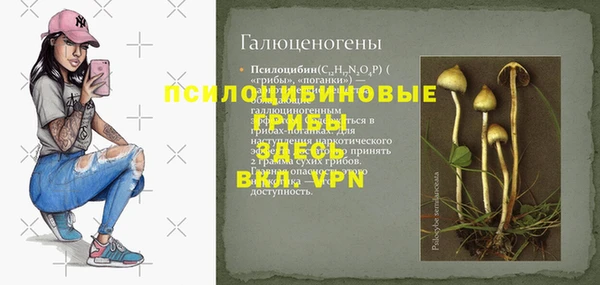 крисы Надым